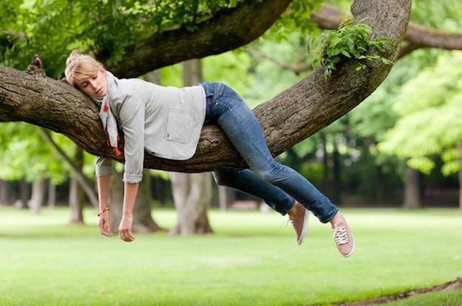 Jak stosować żeń-szeń przeciw zmęczeniu?